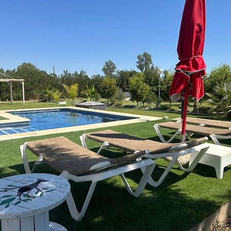 Ole Tu Andalucia Villa Sanlúcar la Mayor Eksteriør bilde